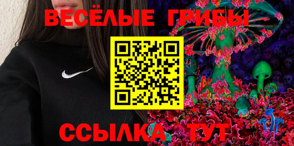 Псилоцибиновые грибы прущие грибы Ростов-на-Дону