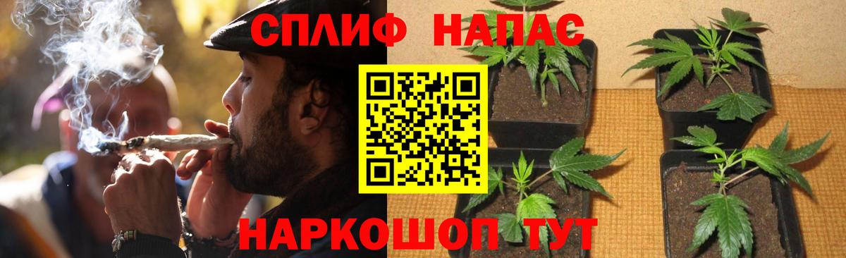 Бошки марихуана Ganja Ростов-на-Дону